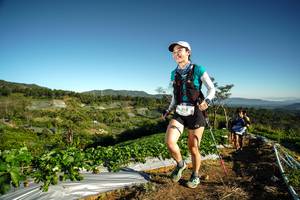 BIB: 113
                            <button type="button" onclick="openModal(19118661)" class="btn btn-primary btn-sm float-right btn-popup" data-toggle="modal" data-target=".modal-high-quality">
                        <i class="fas fa-shopping-cart"></i> Add to Cart
                    </button>
                                            <button type="button" onclick="isThisMe(19118661, true)" class="btn btn-success btn-sm float-right btn-popup btn-isme hidden" data-toggle="tooltip" data-placement="bottom" title="นี่คือรูปของคุณใช่ไหม คลิกที่นี่เพื่อเอาเข้าอัลบั้ม">
                        <i class="fas fa-plus"></i> Add to album
                    </button>
                    <button type="button" onclick="isThisMe(19118661, false)" class="btn btn-warning btn-sm float-right btn-popup btn-isnotme hidden">
                        <i class="fas fa-ban"></i> Remove from album
                    </button>